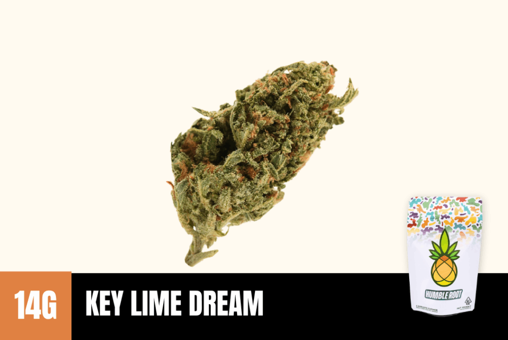 Key Lime Dream