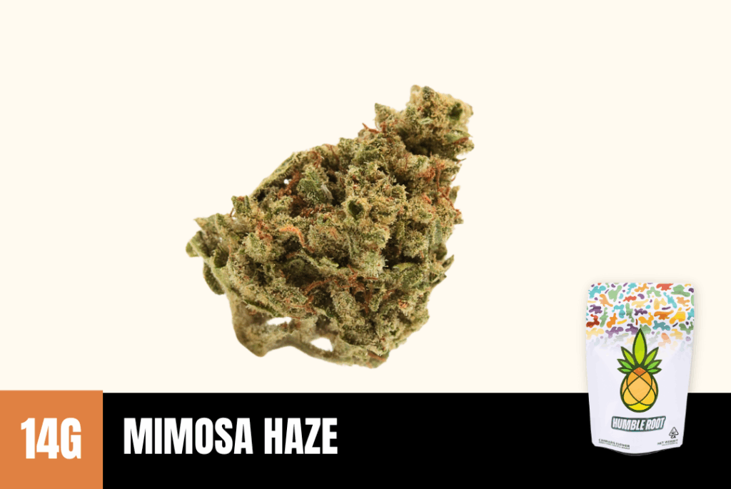 Mimosa Haze