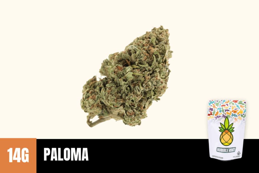 Paloma