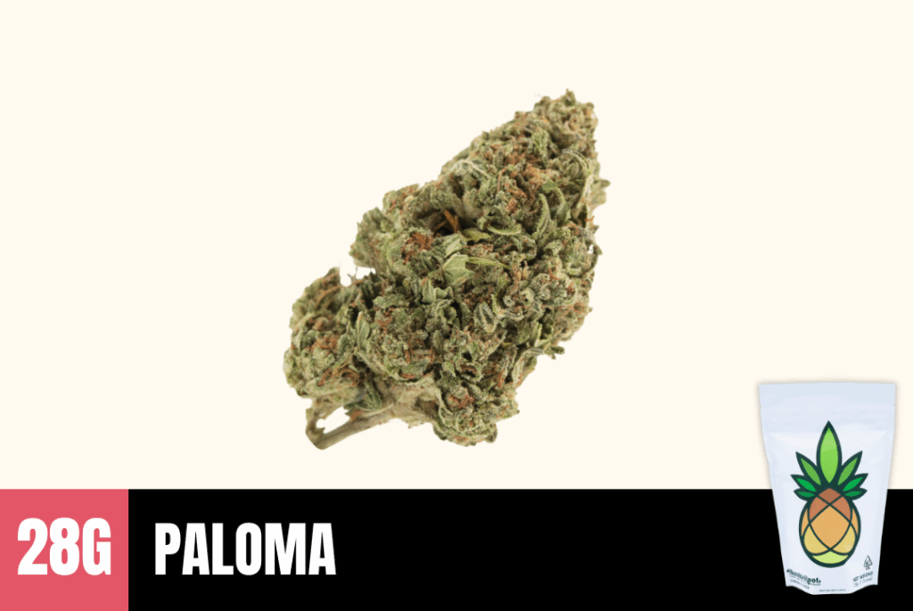 Paloma