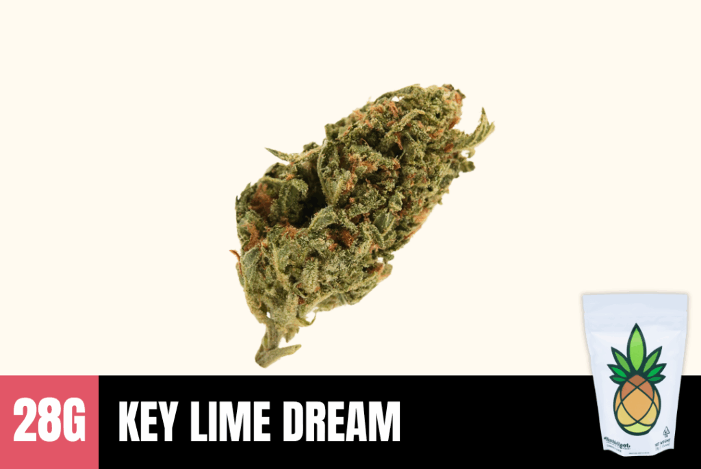 Key Lime Dream