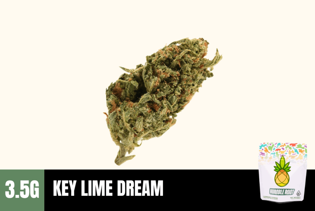 Key Lime Dream