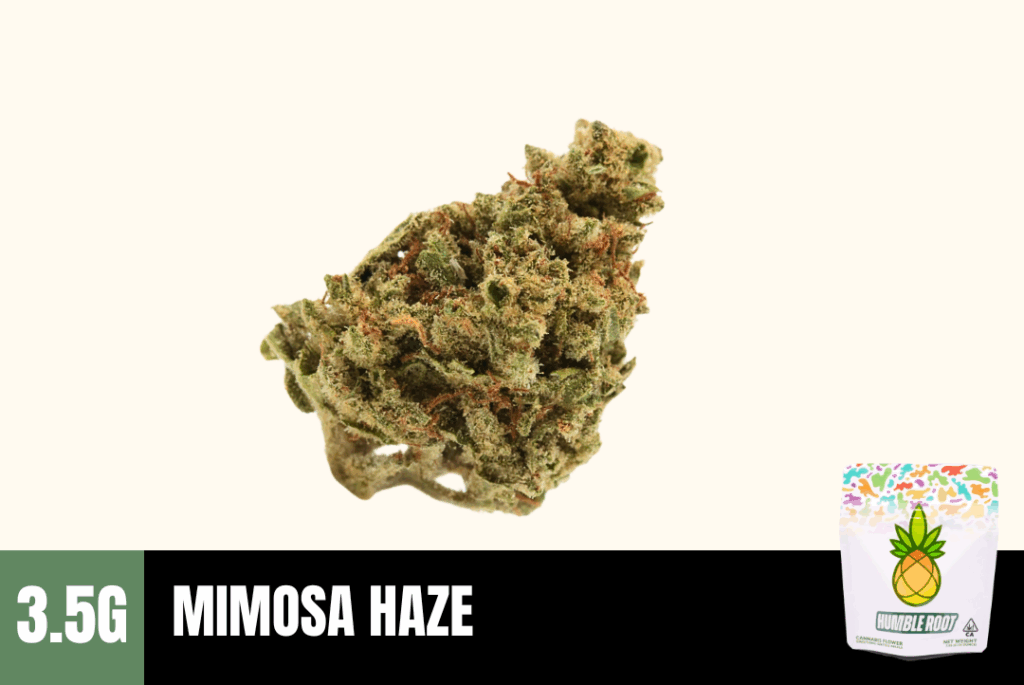 Mimosa Haze