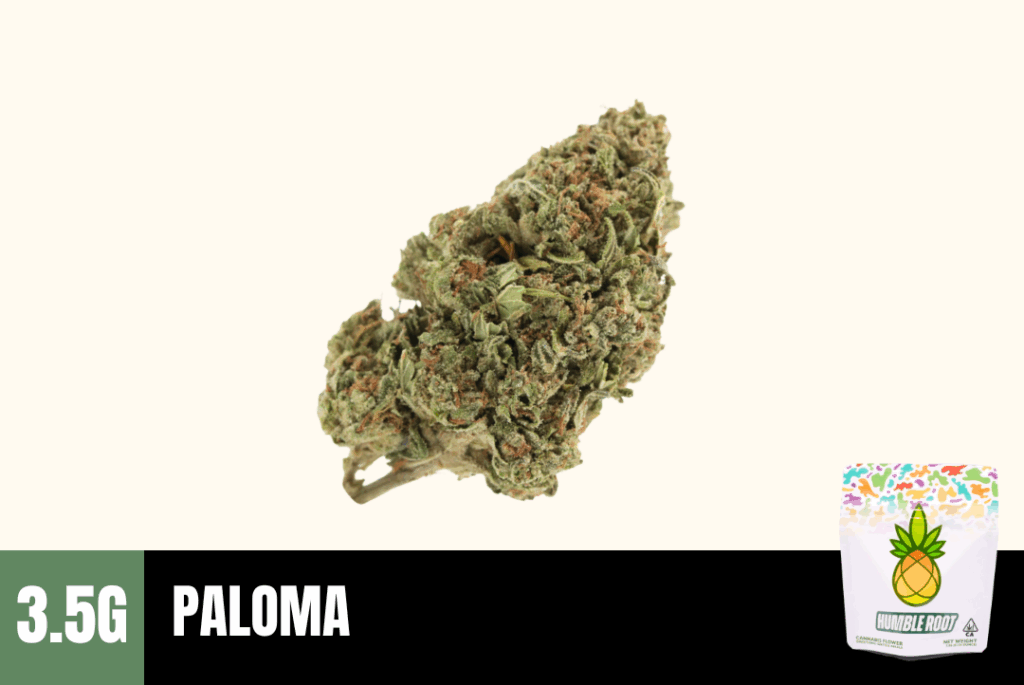 Paloma